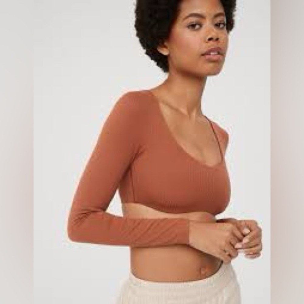 aerie Rust Long Sleeve Ribbed Crop Top